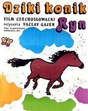 Divoký koník Ryn (1983)